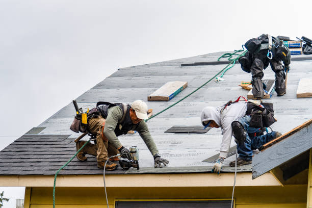 Professional Gutter Installation technician working in Piney Woods, MS